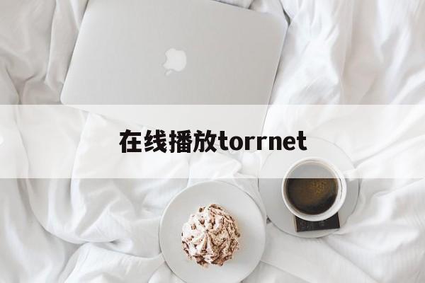 在线播放torrnet(在线播放免费高清电视剧全集)