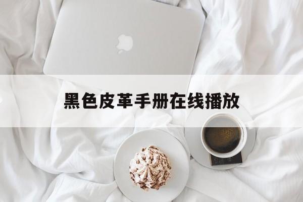 黑色皮革手册在线播放(黑色皮革手册电影免费播放)