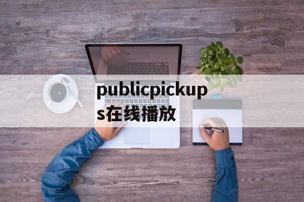 publicpickups在线播放(publicpickupsandreina)