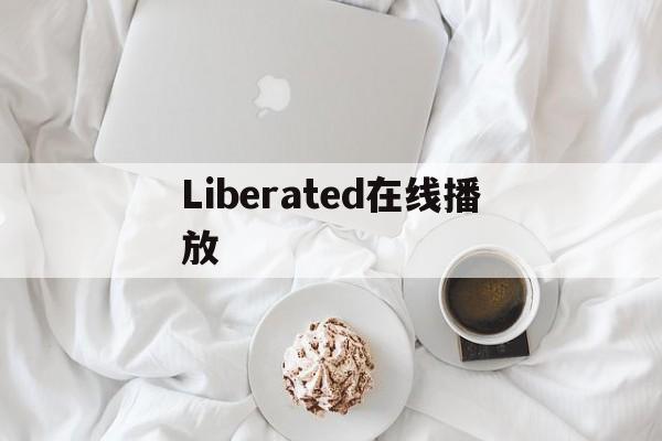 Liberated在线播放(the liberator by netflix)