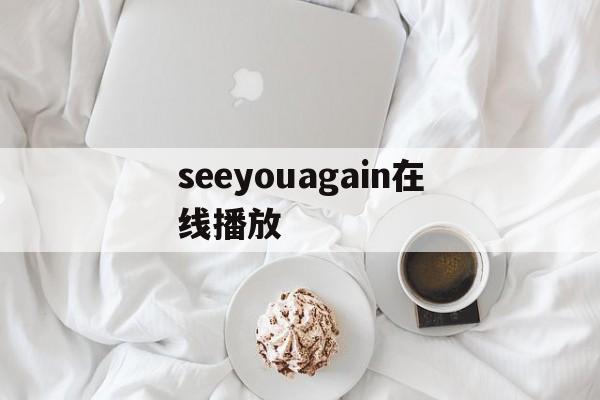 seeyouagain在线播放(seeyou again在线播放)