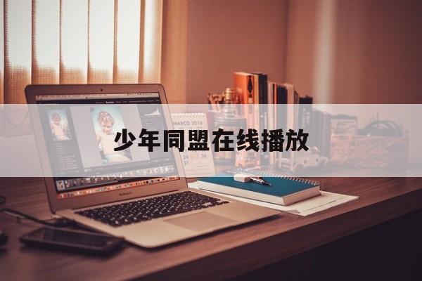 少年同盟在线播放(少年同盟第一季在线播放)