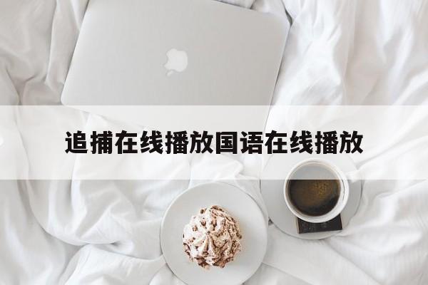 追捕在线播放国语在线播放(老电影追捕国语免费在线观看)