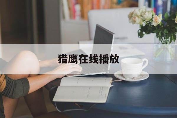 猎鹰在线播放(猎鹰电影2020在线观看)