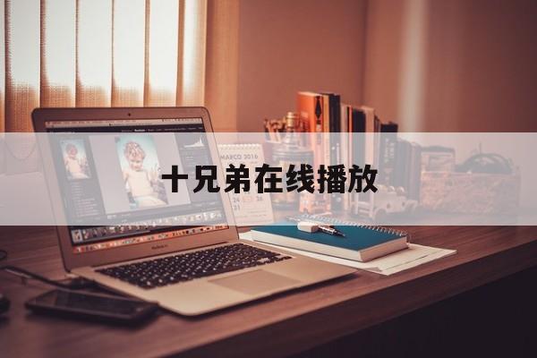 十兄弟在线播放(十兄弟第一集在线观看)