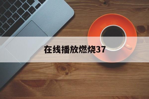 在线播放燃烧37(在线观看完整版燃烧) 在线播放燃烧37(在线观看完整版燃烧)